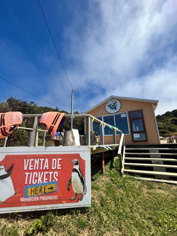 Monumento Natural Islotes de Piñihuil - Imagen 9