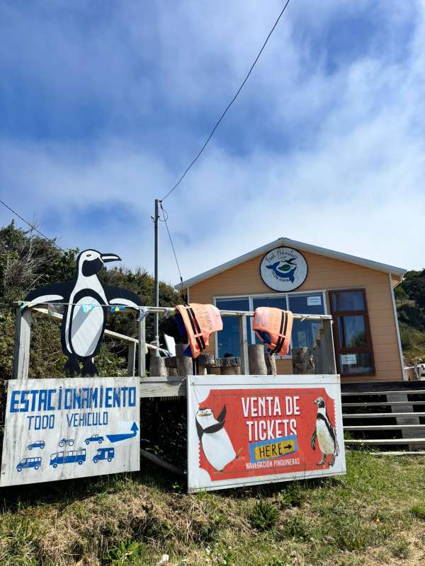 Monumento Natural Islotes de Piñihuil - Imagen 11